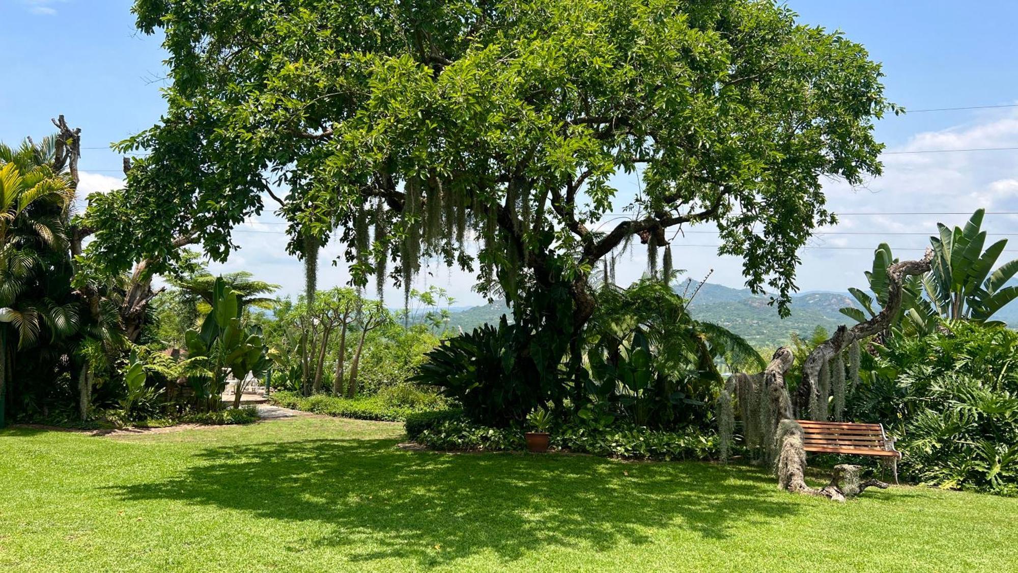 Loerieroep Estate - Mountainview Selfcatering Accommodation Nelspruit Νέλσπρουιτ Εξωτερικό φωτογραφία