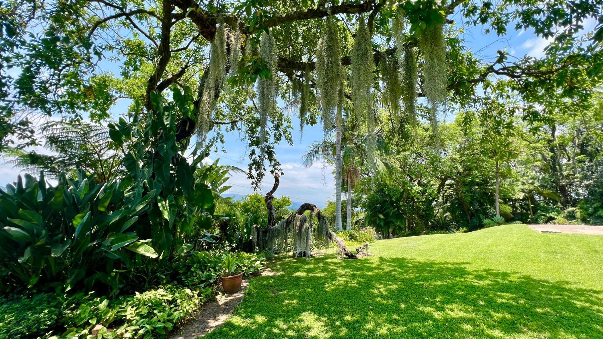 Loerieroep Estate - Mountainview Selfcatering Accommodation Nelspruit Νέλσπρουιτ Εξωτερικό φωτογραφία